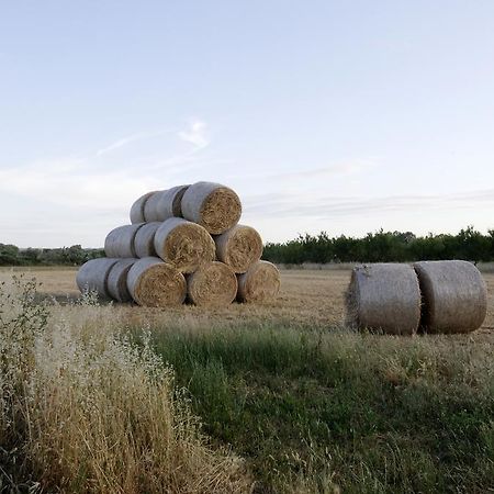 Вилла Agrimat Salento Sas Алецио Экстерьер фото