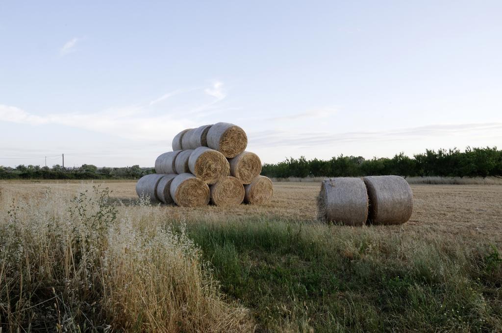 Вилла Agrimat Salento Sas Алецио Экстерьер фото