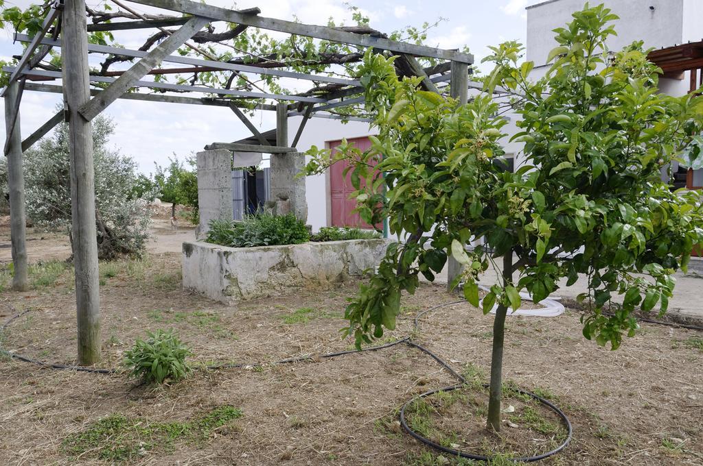 Вилла Agrimat Salento Sas Алецио Экстерьер фото